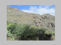 IMG_4440.JPG