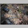 DSCN8318.JPG