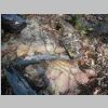DSCN8319.JPG