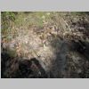DSCN8321.JPG