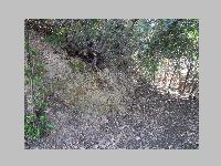 IMG_0680.JPG