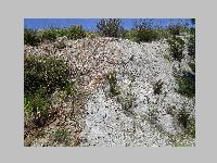 IMG_0697.JPG
