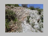 IMG_0698.JPG