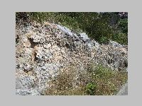 IMG_0710.JPG