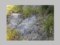 IMG_0720.JPG