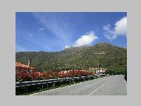 IMG_0734.JPG