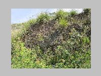 IMG_0724.JPG
