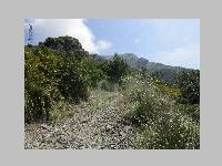 IMG_0742.JPG