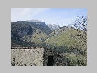 IMG_0823.JPG