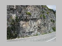 IMG_0791.JPG