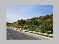IMG_0845.JPG