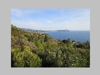 IMG_0848.JPG
