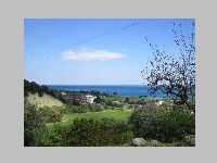 IMG_0526.JPG