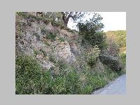 IMG_0862.JPG