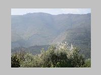 IMG_0911.JPG