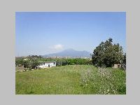 IMG_0933.JPG
