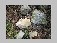 IMG_0915.JPG