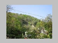 IMG_0917.JPG