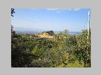 IMG_0549.JPG