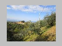 IMG_0550.JPG