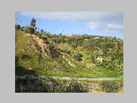 IMG_0552.JPG