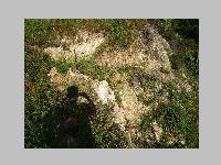 IMG_0553.JPG