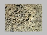 IMG_0599.JPG