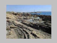 IMG_0614.JPG