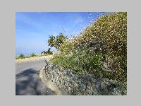 IMG_0664.JPG