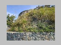 IMG_0667.JPG