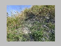 IMG_0668.JPG