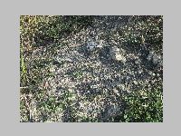 IMG_0669.JPG