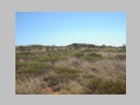 DSCN7178.JPG