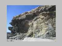 IMG_5873.JPG